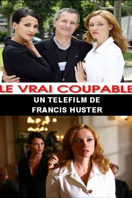 Le Vrai Coupable Poster