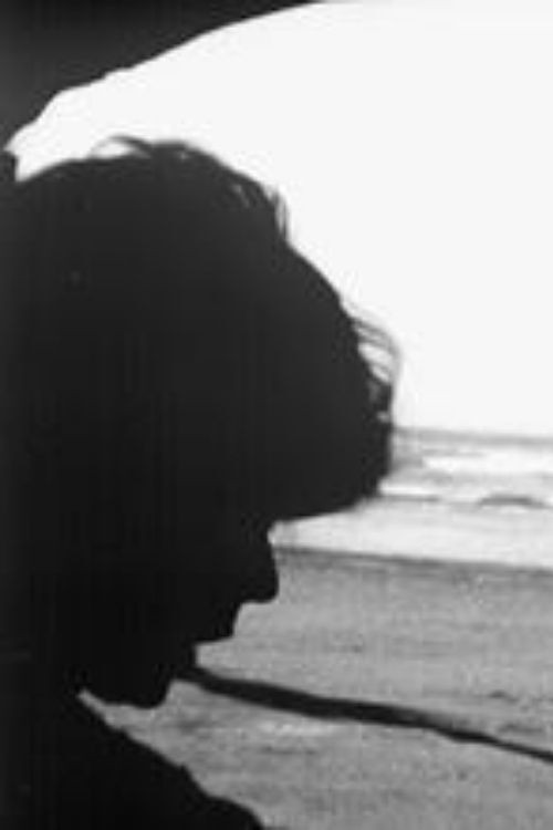 水の中のねこ Poster