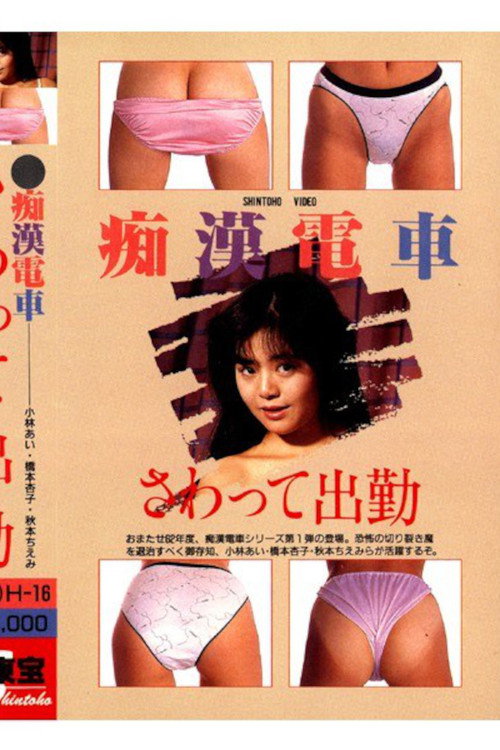 Groper Train: Touching and Going to Work Poster