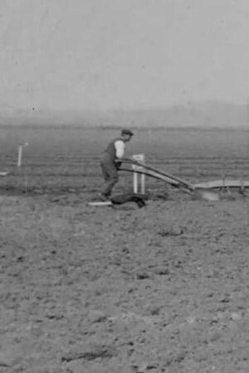 Sons of the Soil Poster