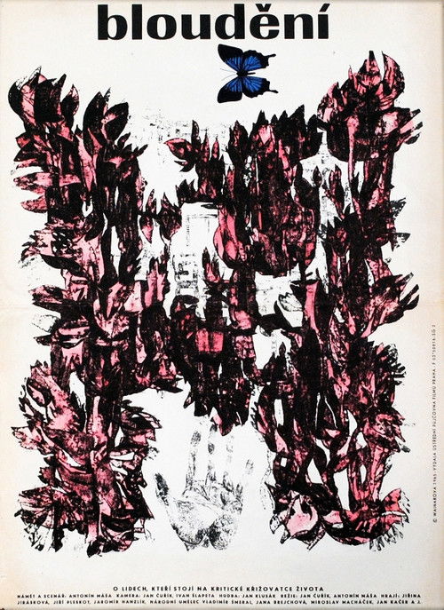 Searching Poster