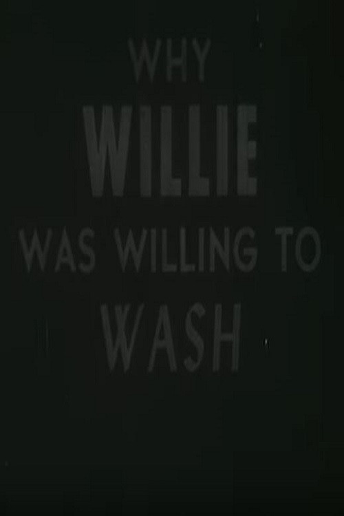 Why Willie Was Willing To Wash Poster