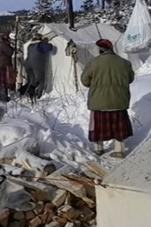 Innu aitun (connaissances traditionnelles innues) Poster