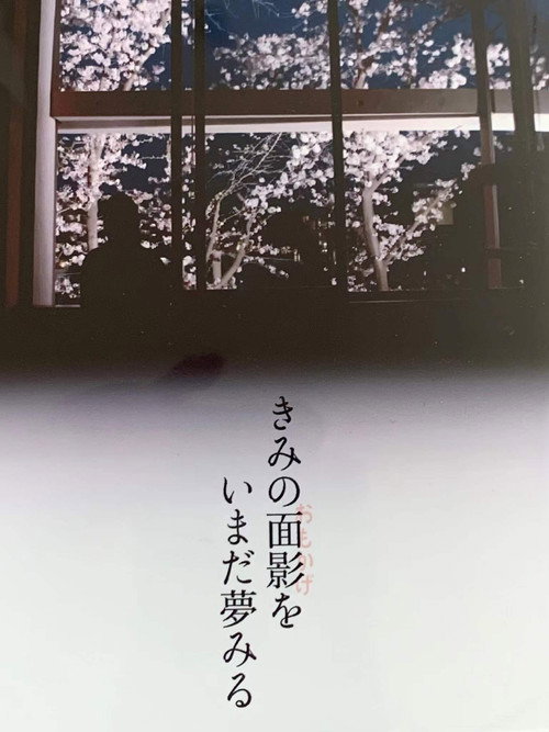 I’m still dreaming of your face Poster