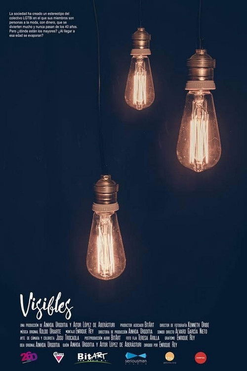 Visibles Poster