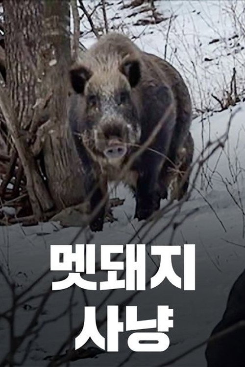 Wild Boar Hunting Poster