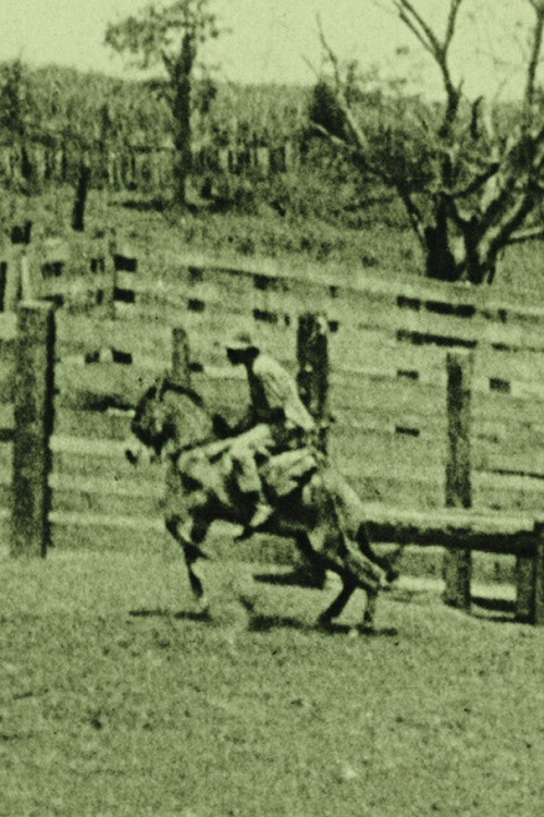 Auf einer Pferdefarm in Rio Grande! Poster