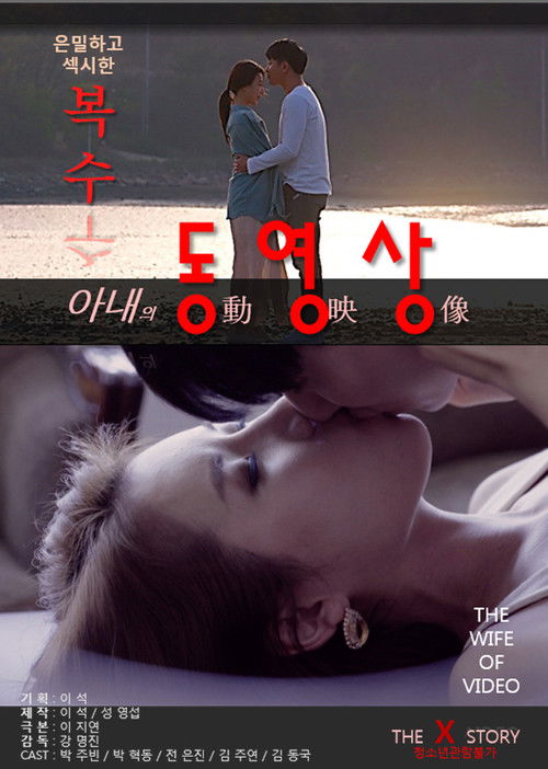 My Wife's Videos Poster