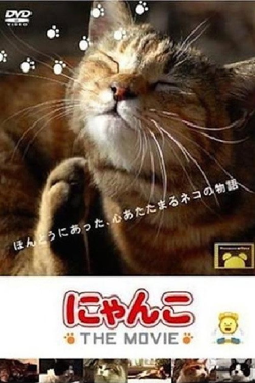 Cat Story The Movie 1 Poster