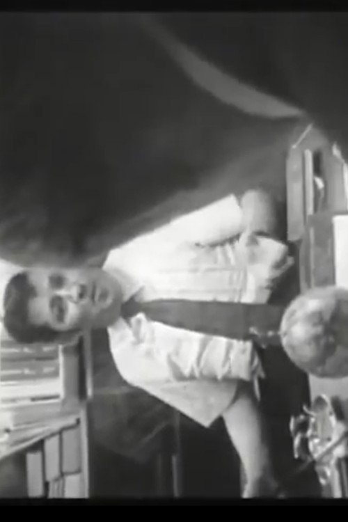 Who Shot Alexander Hamilton Poster