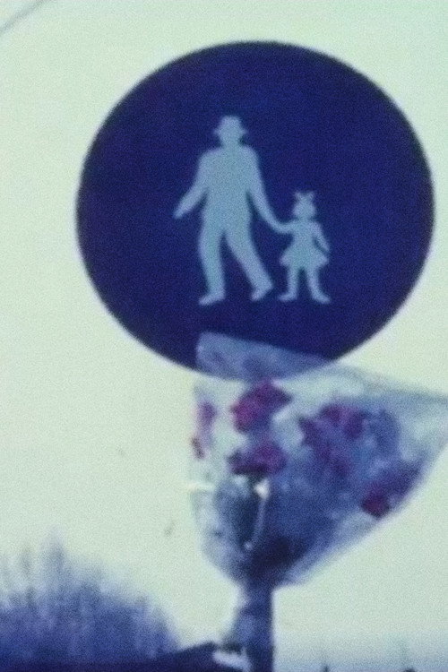 Il Sorriso Della Sfinge Poster