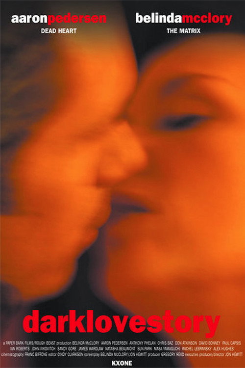 Darklovestory Poster