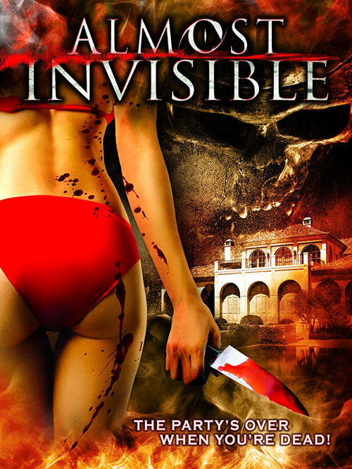 Almost Invisible Poster