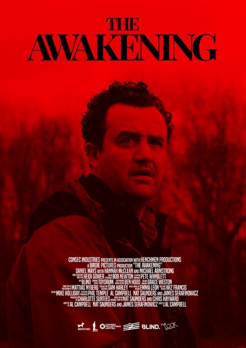 The Awakening Poster