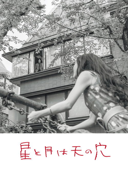 The Stars and the Moon are Holes in the Sky Poster