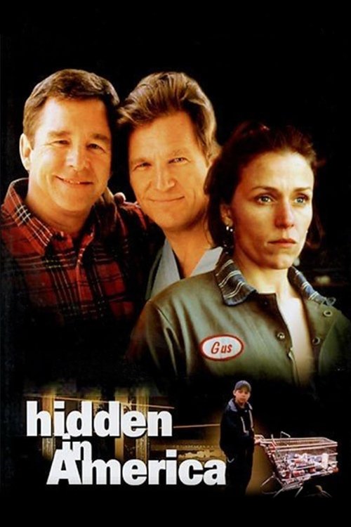 Hidden in America Poster