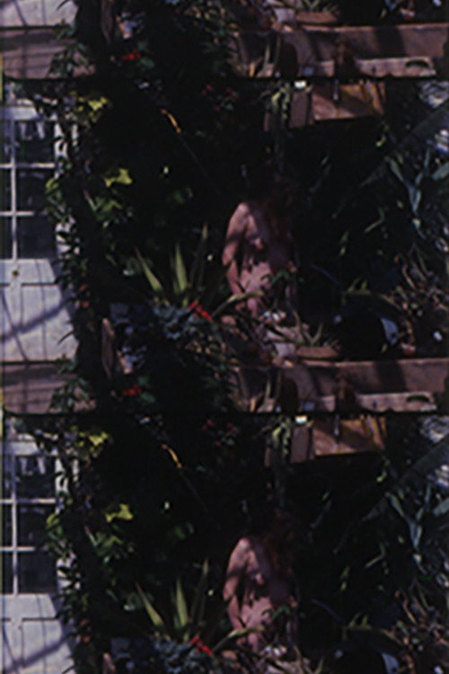 Adam Went On To Till the Soil... But What Happened to Eve? Poster