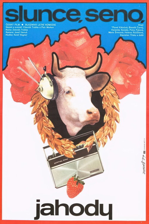Sun, Hay, Berries Poster