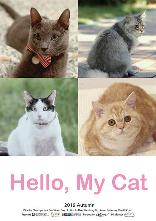Hello, My Cat Poster