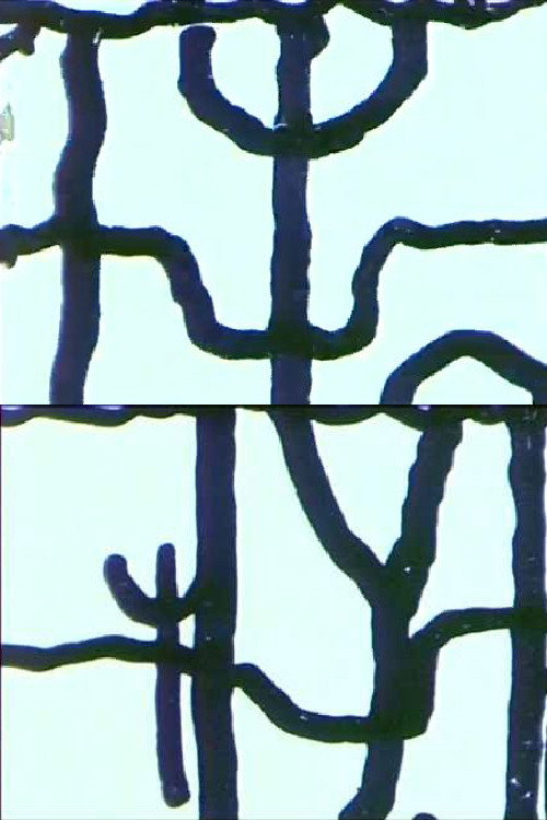 Animación dibujada Poster