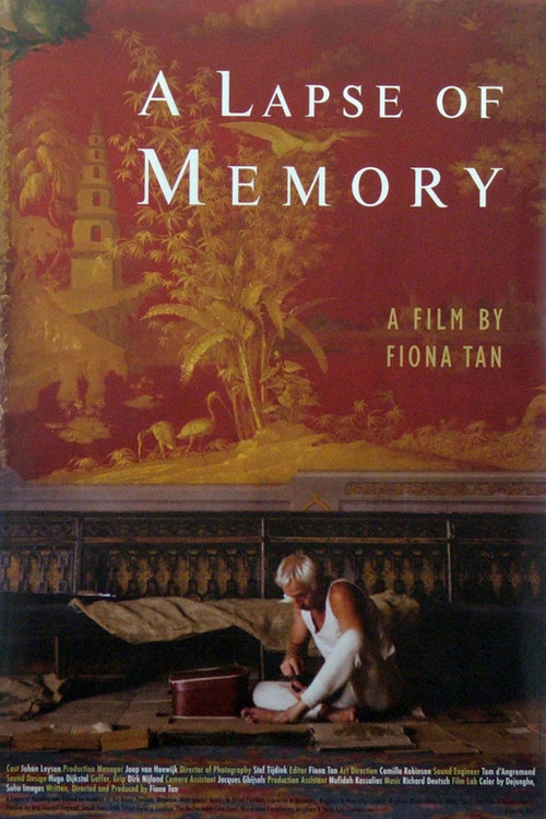 A Lapse of Memory Poster