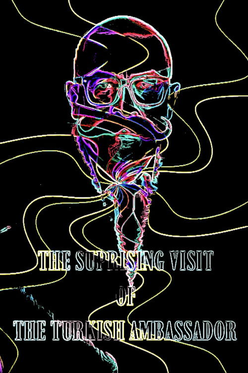 The Suprising Visit Of The Turkish Ambassador Poster