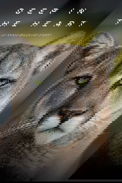 Deep in the Heart: A Texas Wildlife Story Poster