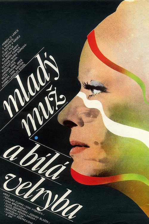 The Young Man and Moby Dick Poster
