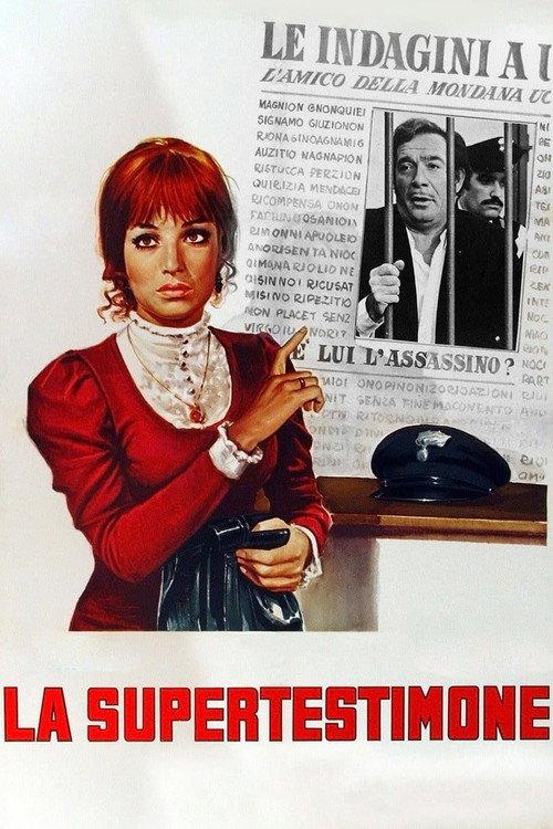 The Superwitness Poster