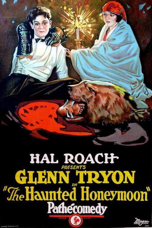 The Haunted Honeymoon Poster