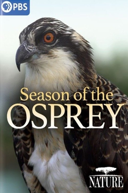 Season of the Osprey Poster