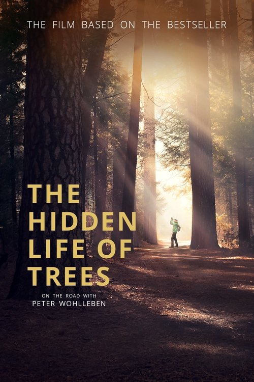 The Hidden Life of Trees Poster