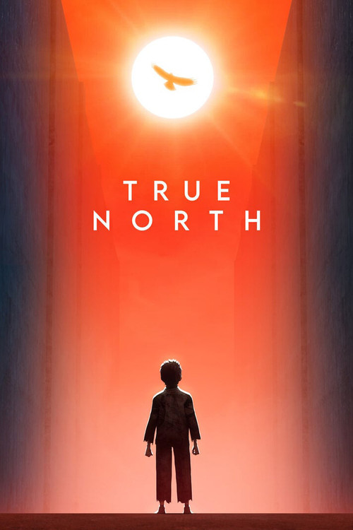 True North Poster