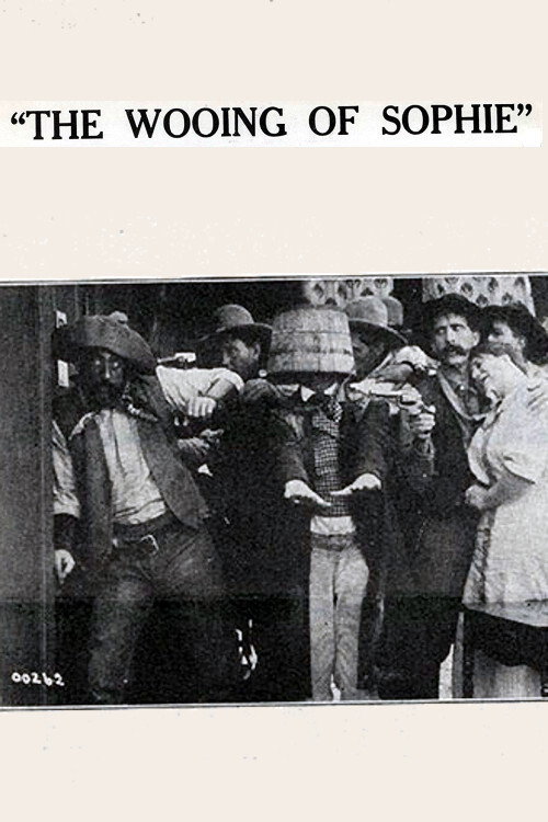 The Wooing of Sophie Poster