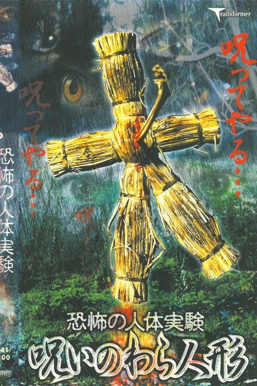 Terrifying Human Experiment: Cursed Straw Doll Poster
