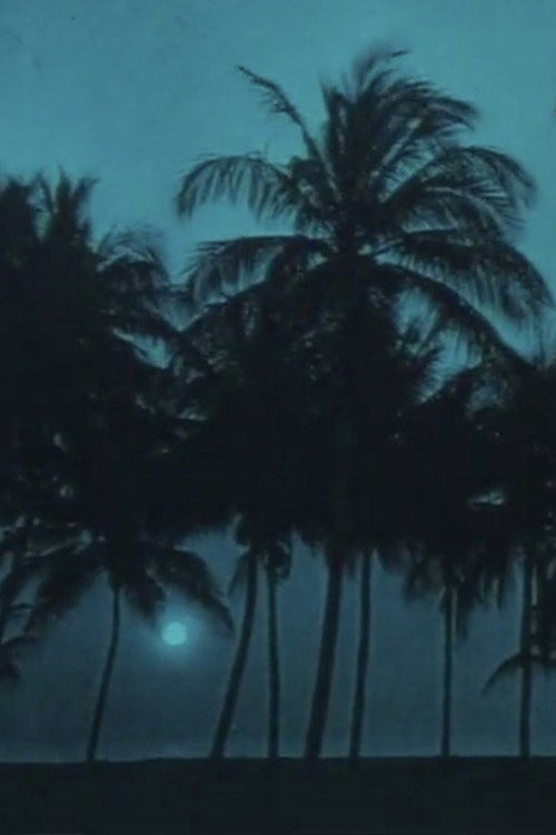 Navigazione sul nilo (anni dieci) Poster