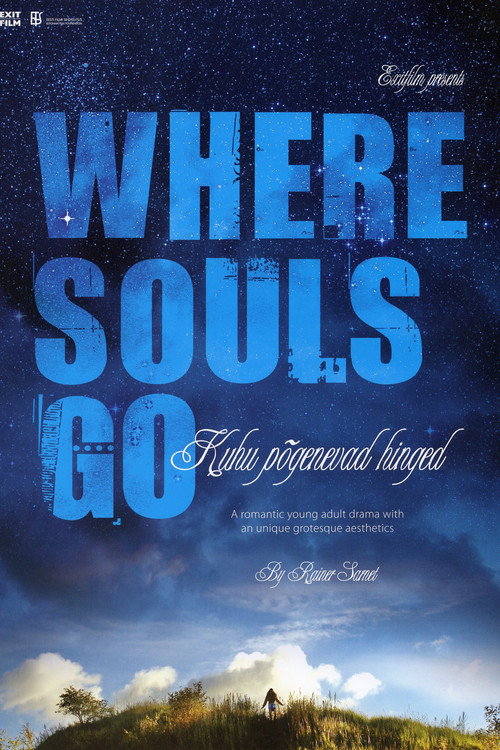Where Souls Go Poster