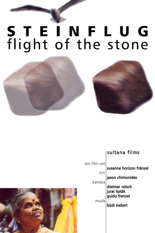 Flight of the Stone Poster