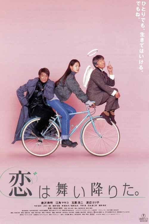 Love Has Fallen Poster