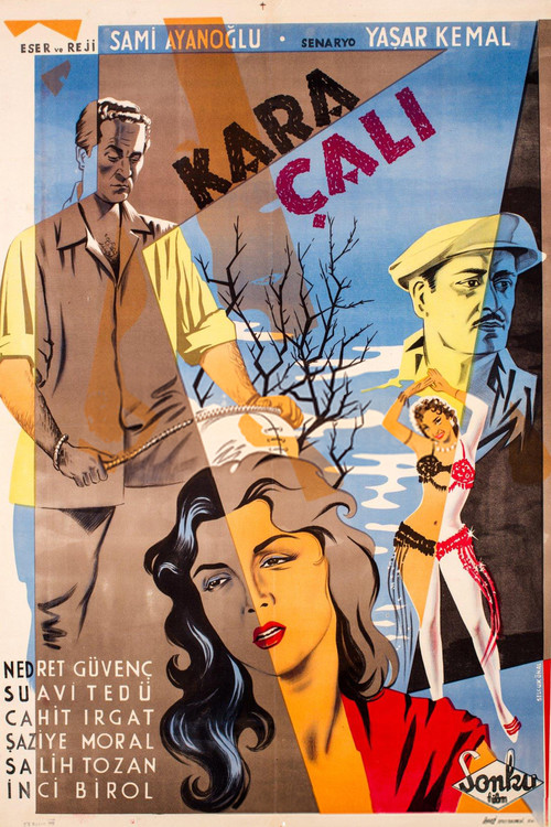Kara Çalı Poster