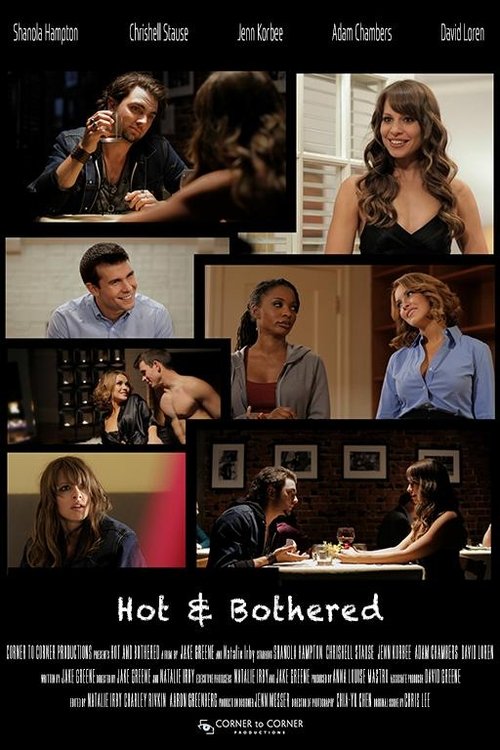 Hot and Bothered: Feminist Pornography Poster