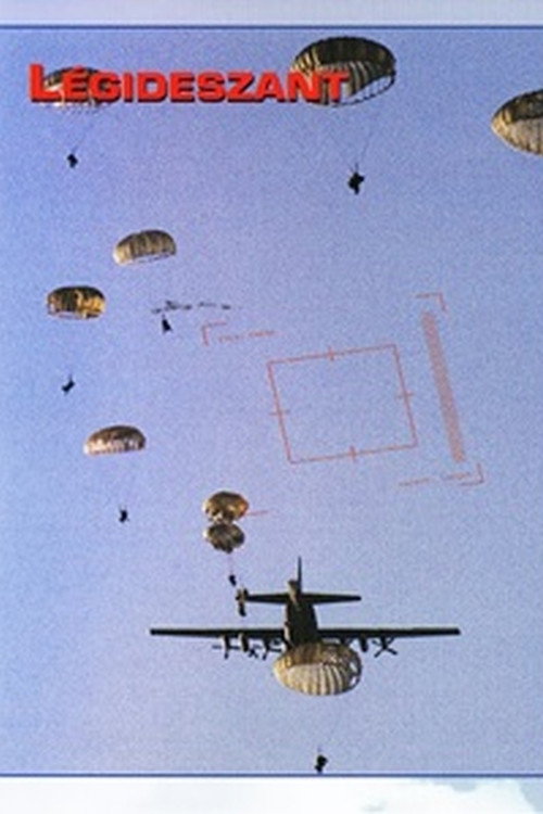 Combat in the Air - Air Assault Poster