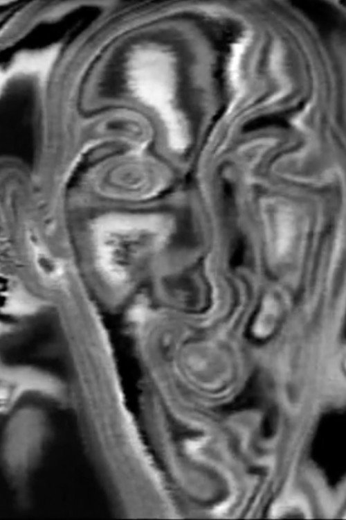 Ensemble #1 Poster