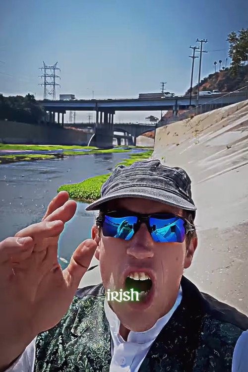 Irish Zionism Poster