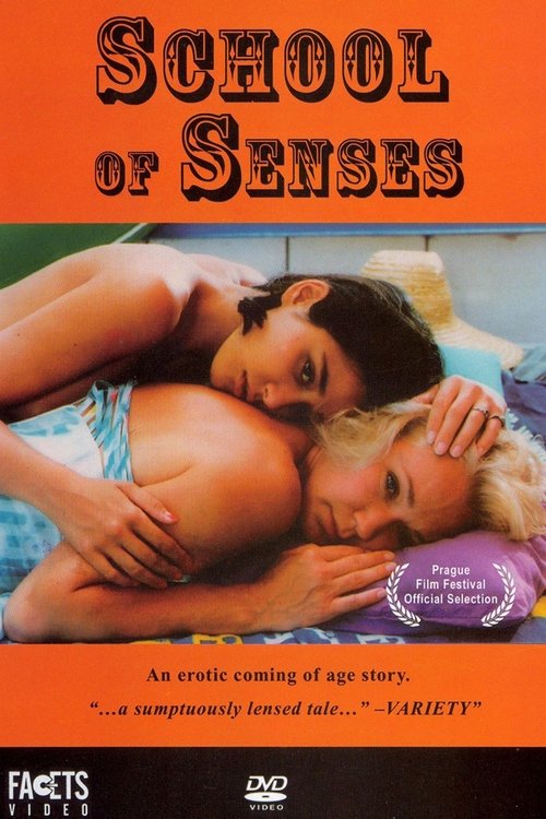 School of Senses Poster