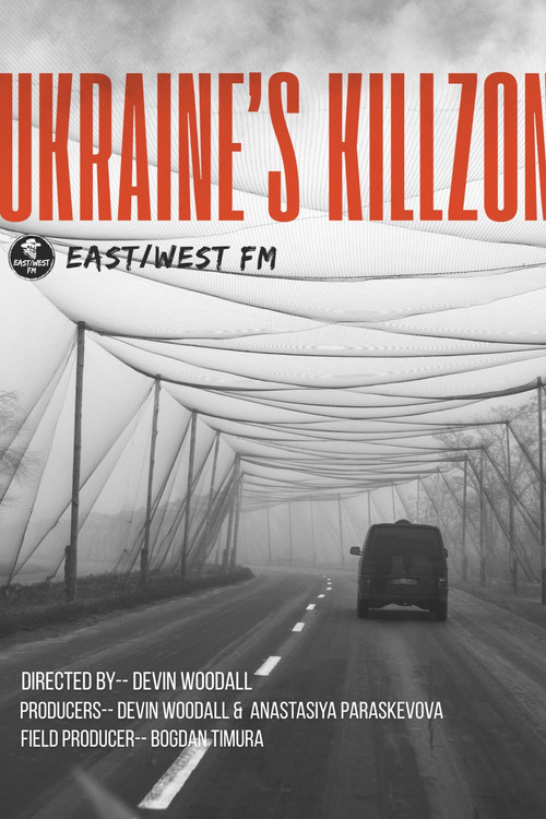 Ukraine's Killzone Poster