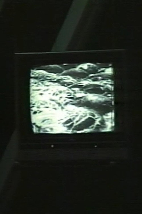 d/stabilize/d Poster