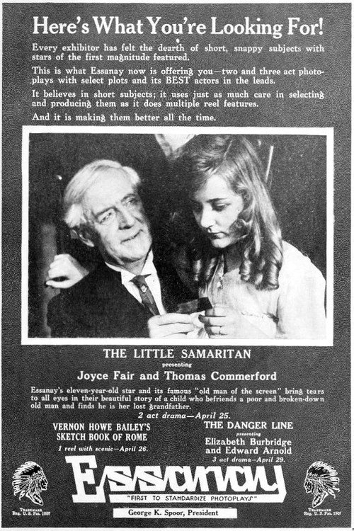 The Little Samaritan Poster