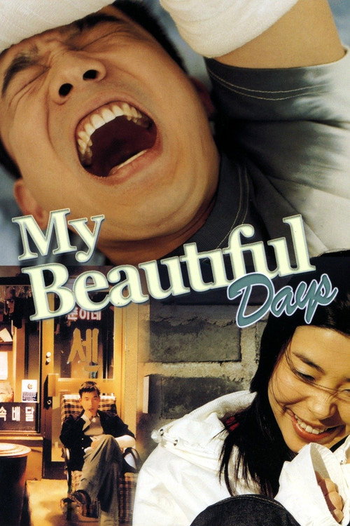 My Beautiful Days Poster