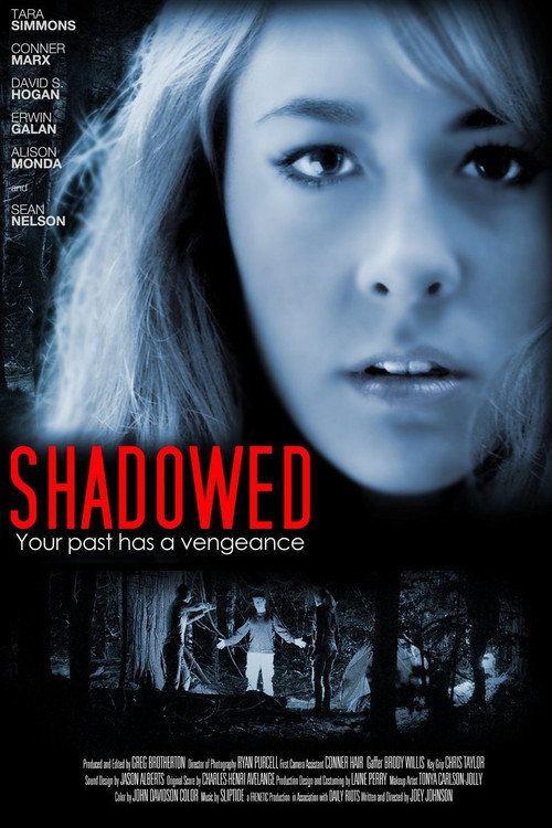 Shadowed Poster
